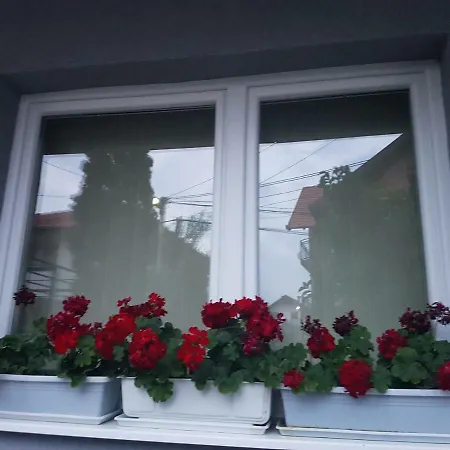 Apartman U Blizini Stupa Doglodi Homestay szállás *